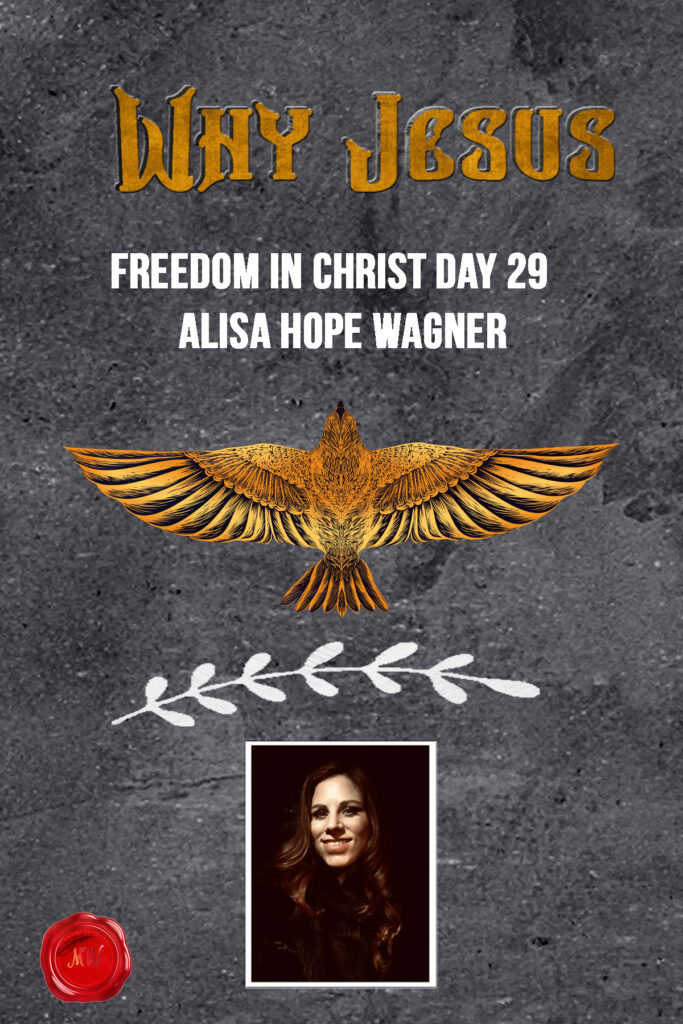 Why Jesus by Alisa HOpe Wagner #Jesus #faith